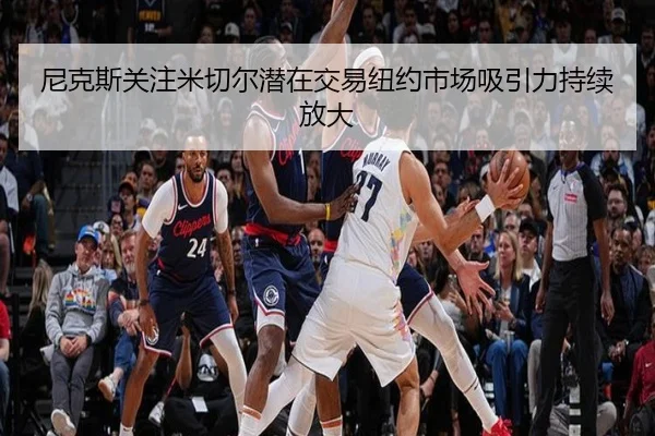 尼克斯关注米切尔潜在交易纽约市场吸引力持续放大