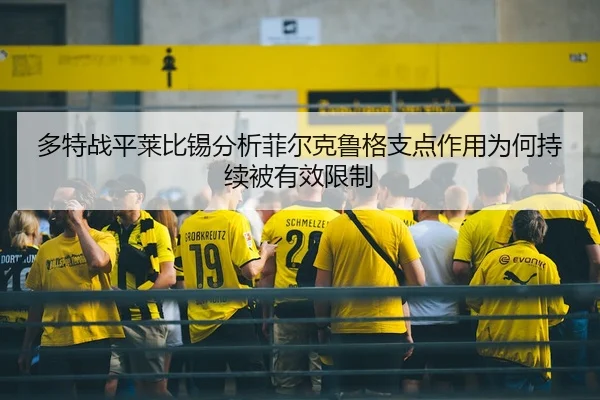 duo-te-zhan-ping-lai-bi-xi-fen-xi-fei-er-ke-lu-ge-zhi-dian-zuo-yong-wei-he-chi-xu-bei-you-xiao-xian-zhi-2-999.jpg